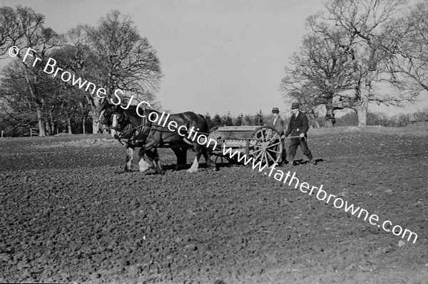 SOWING WINTER WHEAT MACHINE